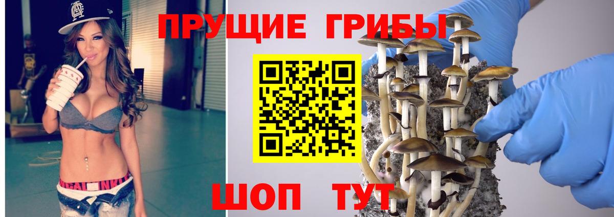 Ишимбай  Галлюциногенные грибы Psilocybine cubensis  Вход с VPN  Галлюциногенные грибы ЛСД 